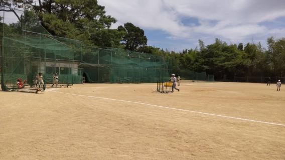 マイナー　神戸リトルリーグと合同練習を行いました！